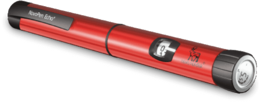 NovoPen Echo®